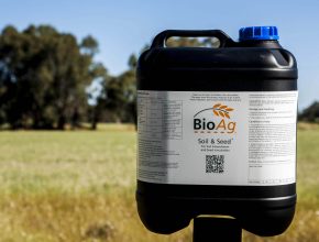Biostimulants