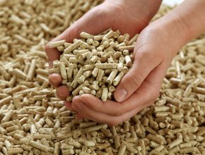 Biomass pellets