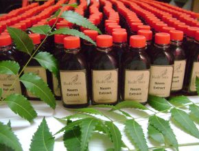 Neem Extract